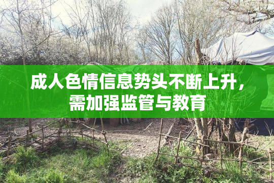 成人色情信息势头不断上升，需加强监管与教育