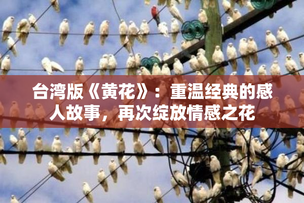 台湾版《黄花》：重温经典的感人故事，再次绽放情感之花