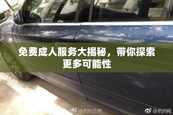 免费成人服务大揭秘，带你探索更多可能性