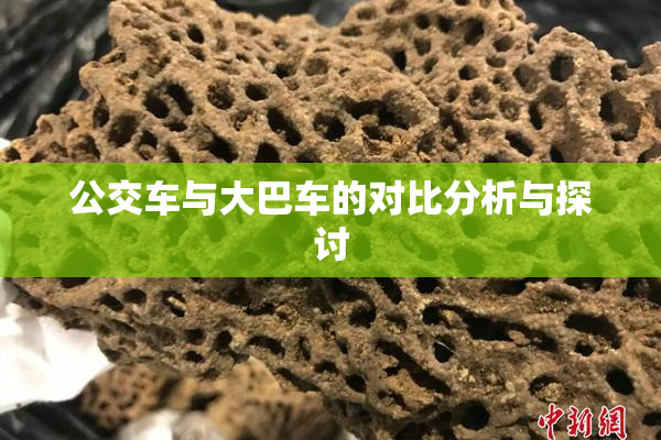 公交车与大巴车的对比分析与探讨