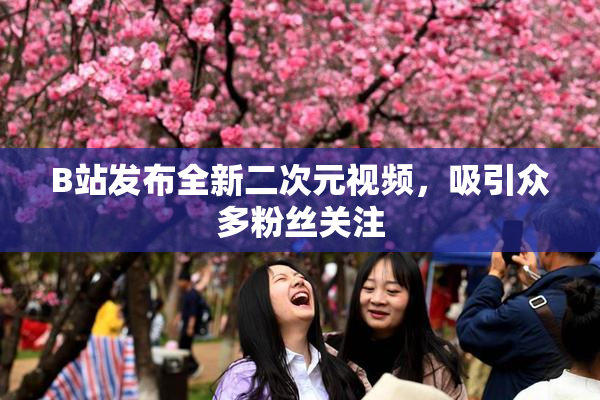 B站发布全新二次元视频，吸引众多粉丝关注