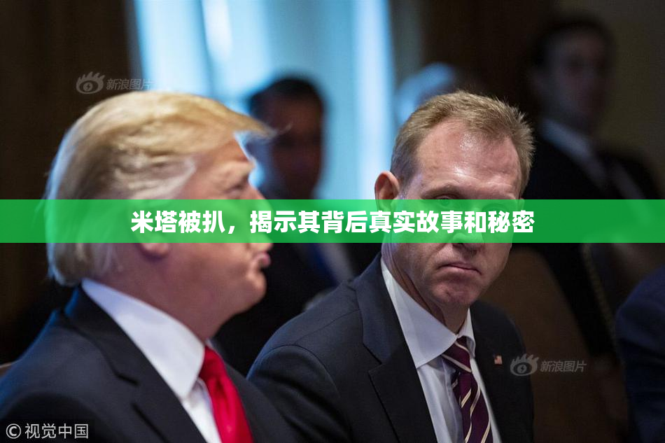 米塔被扒，揭示其背后真实故事和秘密