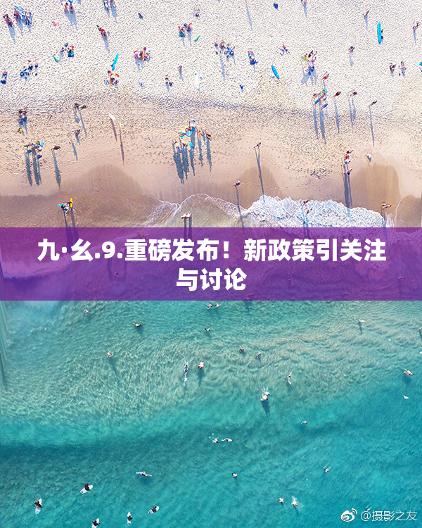 九·幺.9.重磅发布！新政策引关注与讨论