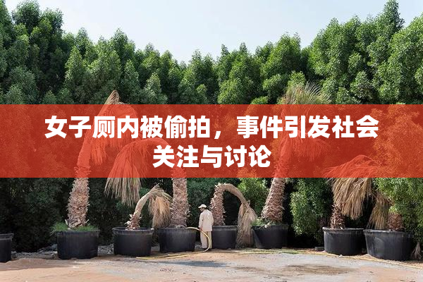 女子厕内被偷拍，事件引发社会关注与讨论
