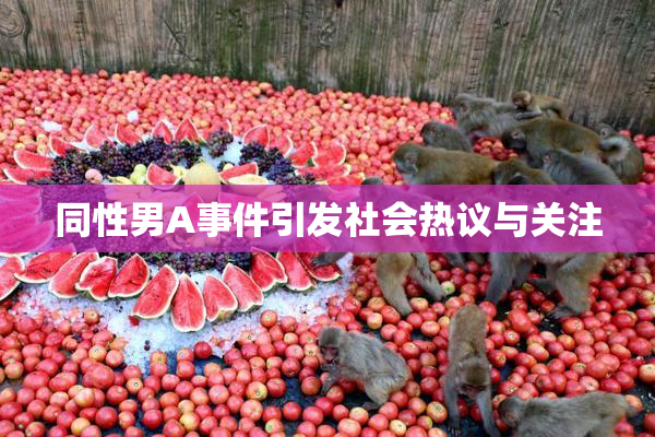 同性男A事件引发社会热议与关注