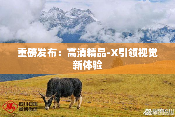 重磅发布：高清精品-X引领视觉新体验