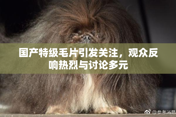 国产特级毛片引发关注，观众反响热烈与讨论多元