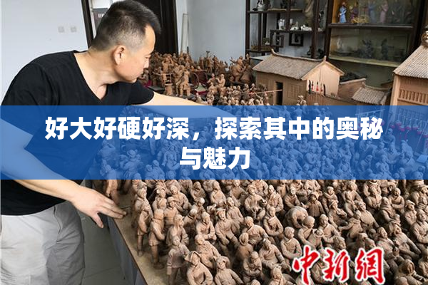 好大好硬好深，探索其中的奥秘与魅力