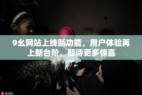 9幺网站上线新功能，用户体验再上新台阶，期待更多惊喜