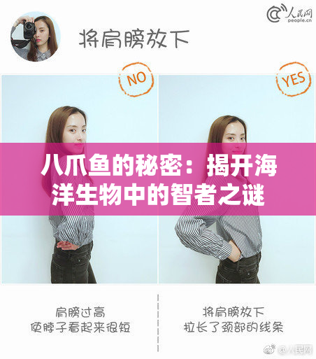 八爪鱼的秘密：揭开海洋生物中的智者之谜