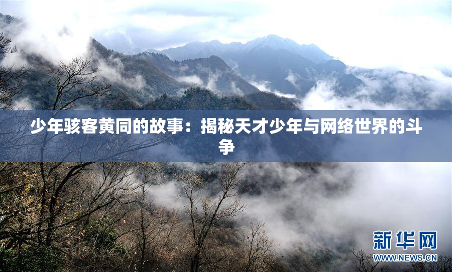 少年骇客黄同的故事：揭秘天才少年与网络世界的斗争
