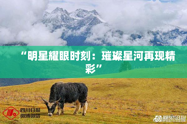 “明星耀眼时刻：璀璨星河再现精彩”