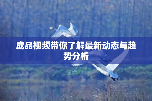 成品视频带你了解最新动态与趋势分析