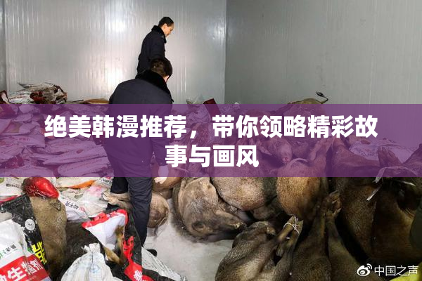 绝美韩漫推荐，带你领略精彩故事与画风