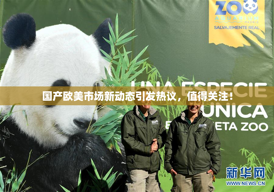 国产欧美市场新动态引发热议，值得关注！