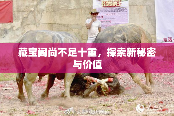 藏宝阁尚不足十重，探索新秘密与价值