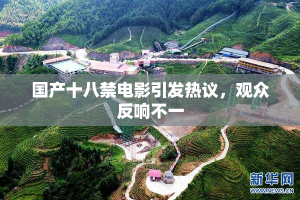 国产十八禁电影引发热议，观众反响不一