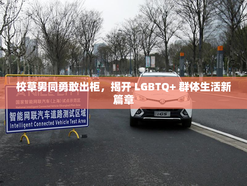 校草男同勇敢出柜，揭开 LGBTQ+ 群体生活新篇章