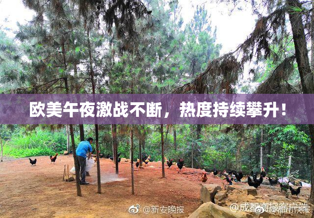 欧美午夜激战不断，热度持续攀升！