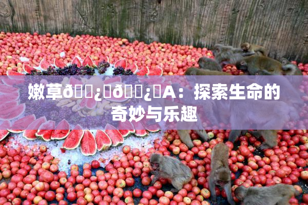 嫩草🌿‌🌿‌A：探索生命的奇妙与乐趣