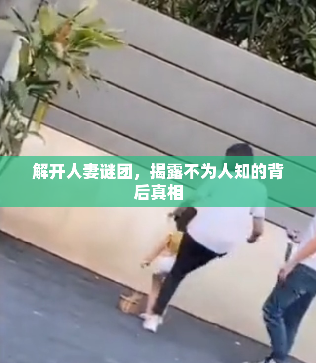 解开人妻谜团，揭露不为人知的背后真相