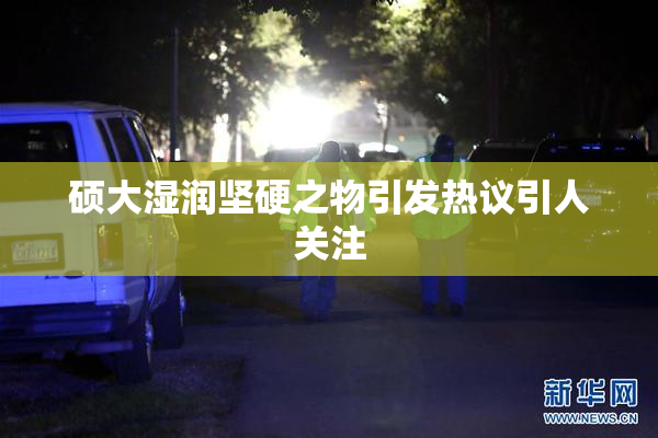 硕大湿润坚硬之物引发热议引人关注