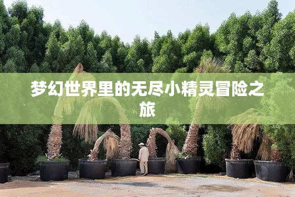 梦幻世界里的无尽小精灵冒险之旅