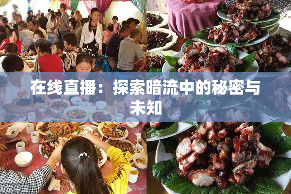 在线直播：探索暗流中的秘密与未知