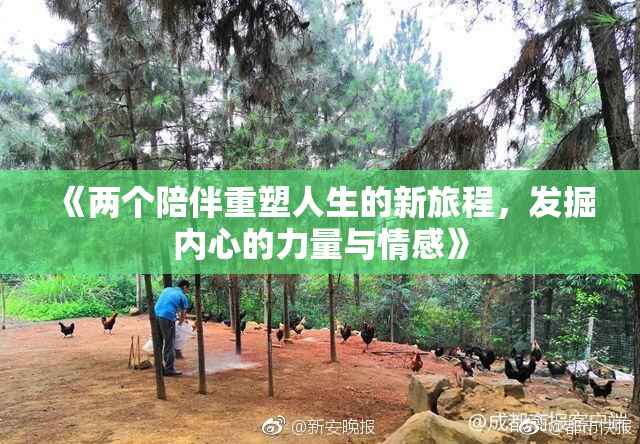 《两个陪伴重塑人生的新旅程，发掘内心的力量与情感》
