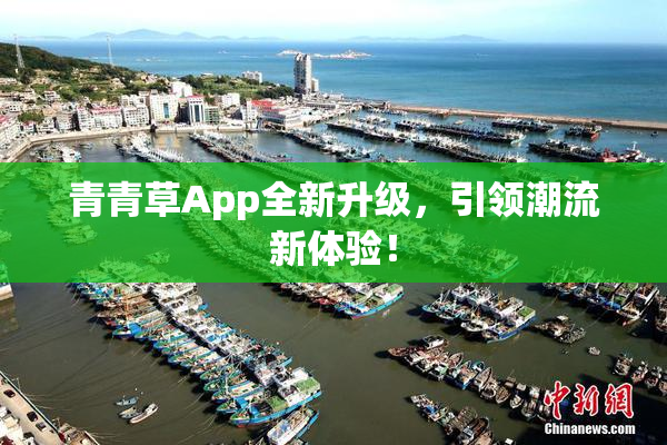 青青草App全新升级，引领潮流新体验！