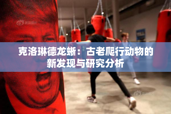 克洛琳德龙蜥：古老爬行动物的新发现与研究分析