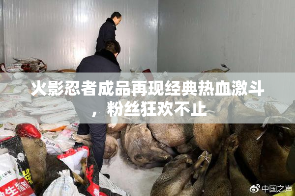 火影忍者成品再现经典热血激斗，粉丝狂欢不止