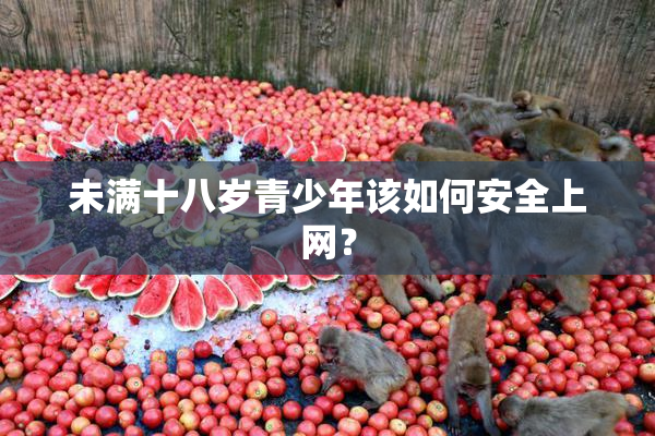 未满十八岁青少年该如何安全上网？
