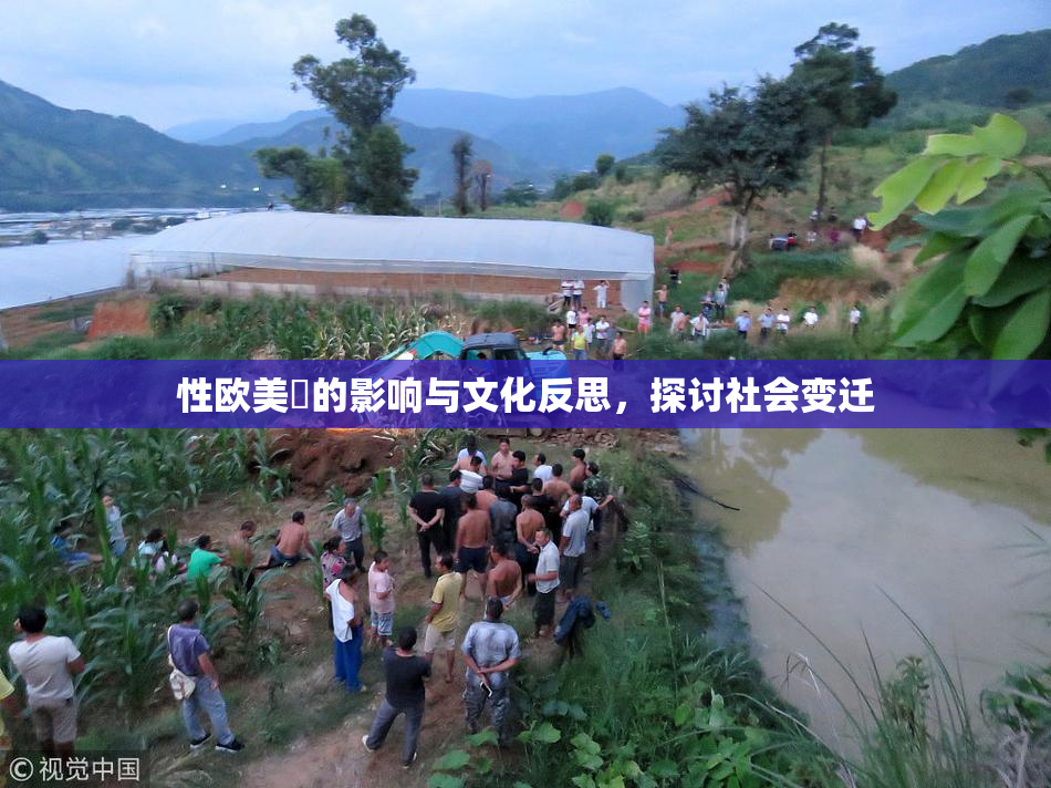 性欧美婬的影响与文化反思，探讨社会变迁