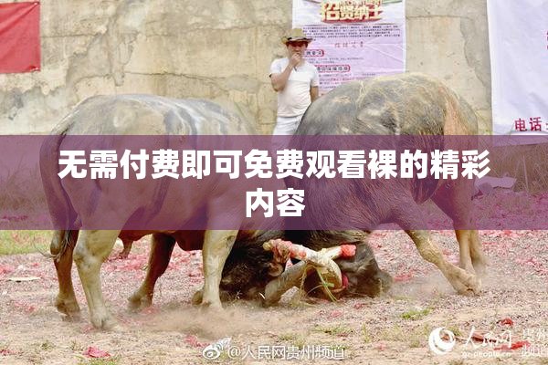 无需付费即可免费观看裸的精彩内容