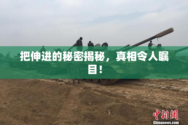把伸进的秘密揭秘，真相令人瞩目！