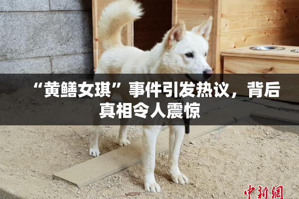 “黄鳝女琪”事件引发热议，背后真相令人震惊