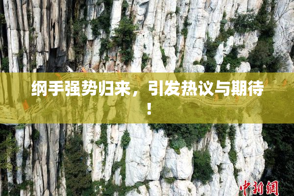 纲手强势归来，引发热议与期待！