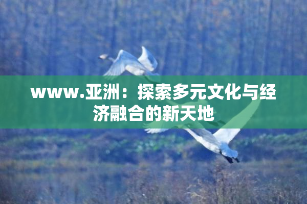 www.亚洲：探索多元文化与经济融合的新天地