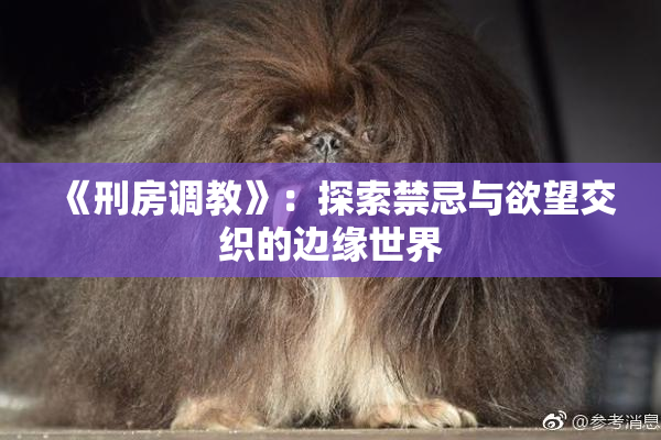 《刑房调教》：探索禁忌与欲望交织的边缘世界