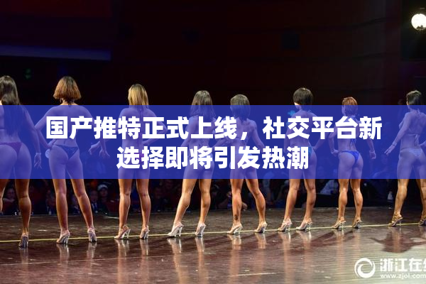 国产推特正式上线，社交平台新选择即将引发热潮