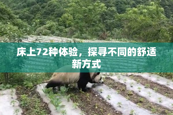 床上72种体验，探寻不同的舒适新方式