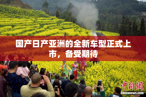 国产日产亚洲的全新车型正式上市，备受期待