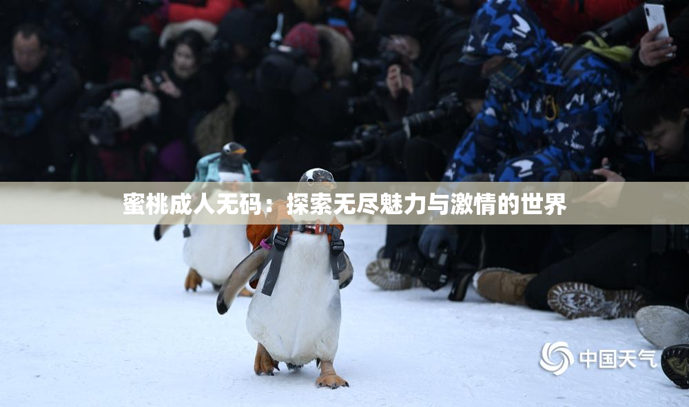 蜜桃成人无码：探索无尽魅力与激情的世界