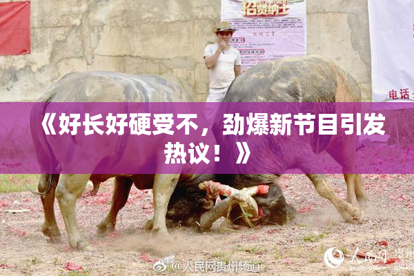 《好长好硬受不，劲爆新节目引发热议！》