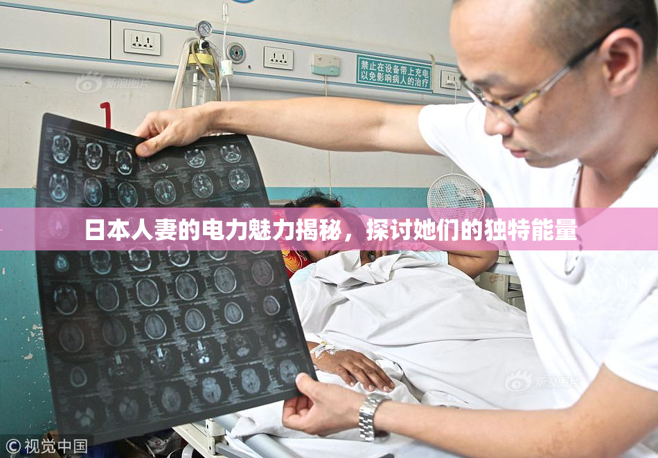 日本人妻的电力魅力揭秘，探讨她们的独特能量