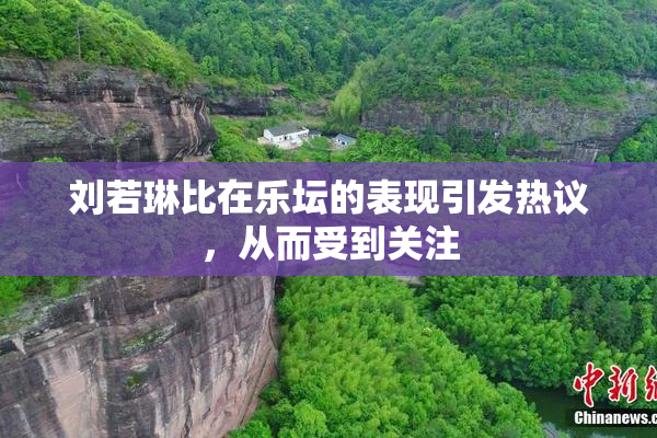 刘若琳比在乐坛的表现引发热议，从而受到关注