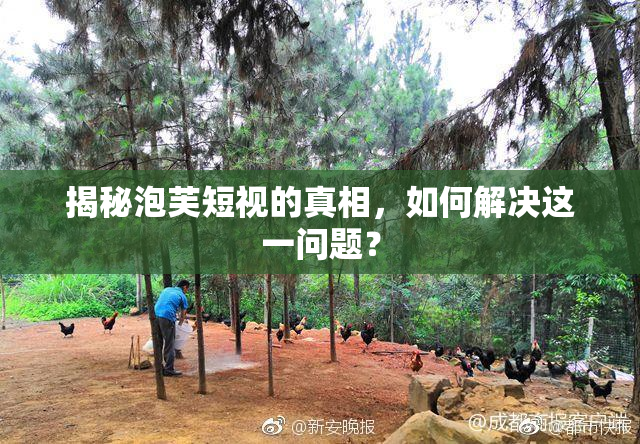 揭秘泡芙短视的真相，如何解决这一问题？