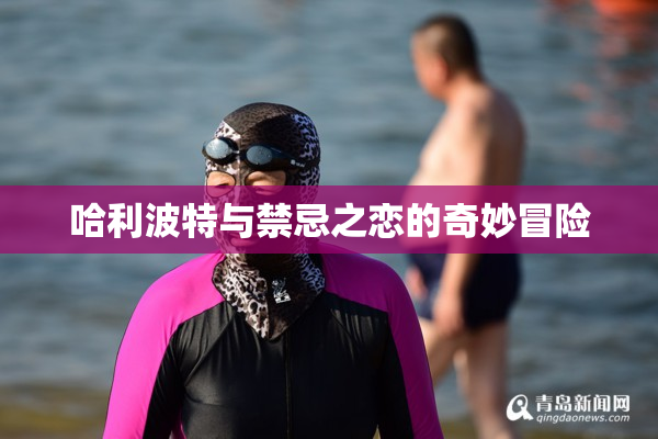 哈利波特与禁忌之恋的奇妙冒险