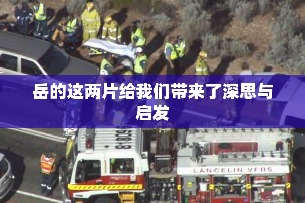 岳的这两片给我们带来了深思与启发
